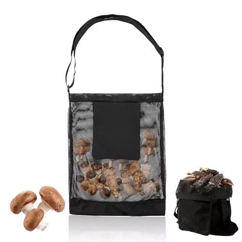 Delamiya Borsa a rete nera per funghi
