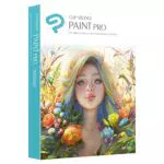 CLIP STUDIO PAINT PRO