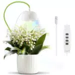Diivoo Lampada LED per Piante d'appartamento e Bonsai con Timer e Regolazione a 10 Fasi