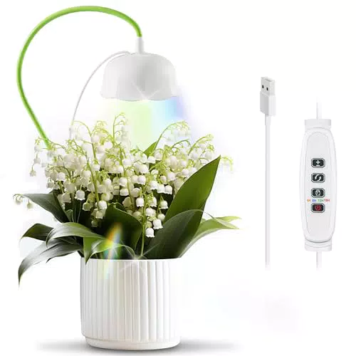 Diivoo Lampada LED per Piante d'appartamento e Bonsai con Timer e Regolazione a 10 Fasi