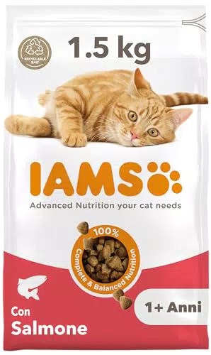 IAMS Cibo secco con salmone per gatti - 1,5 kg
