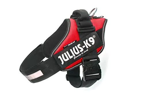 Julius-K9, Pettorina