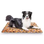Nobleza Cuscino per Cani Lavabile