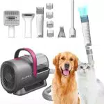 PETKIT Kit Toelettatura e Aspirapolvere per Animali Domestici con Tosatrice e 5 Strumenti di Bellezza