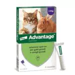 Advantage Trattamento Antipulci per Gatti Grandi e Conigli Grandi
