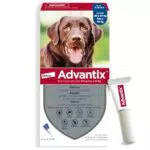 Advantix Spot-on antiparassitario per Cani: Protezione totale contro zecche, pulci e zanzare