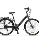 E-Bike Omega Argento - Motore 250W, Freni a Disco, Batteria 374Wh