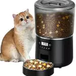 Distributore Automatico Cibo Gatti con Timer - Marca: Jutyum