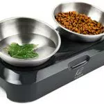 KatSupreme Ciotole per cibo per gatti inclinate - Set di ciotole anti vomito in acciaio inox con supporto