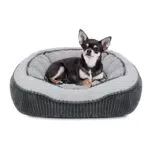 MIXJOY Cuccia Cane Interno Morbida e Confortevole Rettangolare 50×48 cm