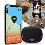 PAJ GPS Pet Finder 4G - Localizzatore per cani con tracciamento in tempo reale