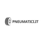 Pneumatici.it