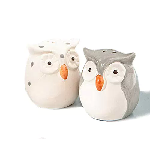 Set sale e pepe a forma di gufetti con scatola trasparente - Marca X