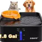 Fontana per Cani Grandi con Filtro a 5 Strati e Promemoria d'Acqua