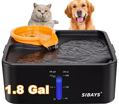Fontana per Cani Grandi con Filtro a 5 Strati e Promemoria d'Acqua