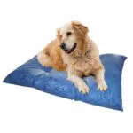 Cuscino Cane Grande sHope: Cuccia Morbida per Cani Taglia Media, Made in Italy, Lavabile