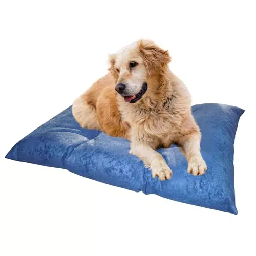Cuscino Cane Grande sHope: Cuccia Morbida per Cani Taglia Media, Made in Italy, Lavabile