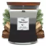 WoodWick - Candela Profumata a Clessidra Media con Pluswick Innovation