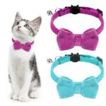 Collare per Gatti Regolabile con Campana e Fiocco