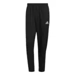 Adidas Entrada 22 Presentation Pants Uomo