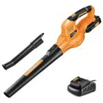 SnapFresh Batteria per Soffiatore 20V con Caricatore