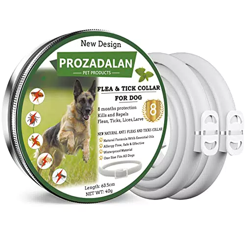 Collare Antipulci e Zecche per Cani: Regolabile e Impermeabile, Protezione 8 Mesi