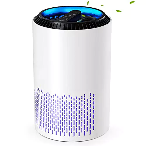 Purificatore d'Aria CONOPU Portatile per Ambienti Domestici