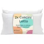 Guanciali Antiacaro Traspiranti per Letto Matrimoniale Singolo - Federa in Cotone e Poliestere