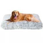 Cuscino per Cani Morbido e Confortevole a Pelo Lungo