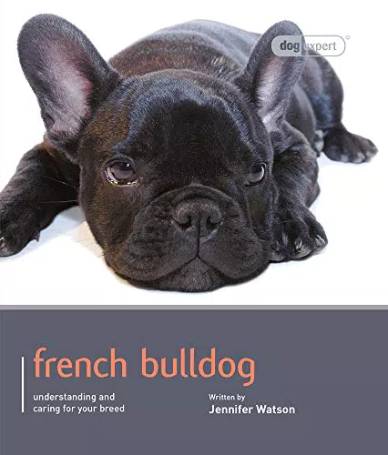 French Bulldog - Cane di Razza con Expertise Canina