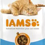 IAMS Cibo secco con pesce oceanico per gatti