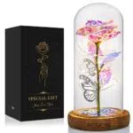 Leiton Galaxy Rose Eterna con Luce a LED in Cupola di Vetro - Regalo Festa della Mamma, Anniversario
