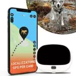 PAJ GPS Pet Finder 4G - Localizzatore per Cani con Collare - Tracciamento in Tempo Reale - Impermeabile IP67