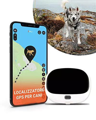 PAJ GPS Pet Finder 4G - Localizzatore per Cani con Collare - Tracciamento in Tempo Reale - Impermeabile IP67