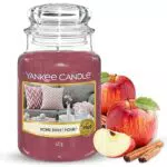 Yankee Candle Candela profumata in giara grande - Home Sweet Home