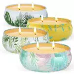 Candela Citronella Set Esterno Interni, Olio Essenziale di Cera di Soia Naturale - Ideale per Giardino, Patio e Campeggio