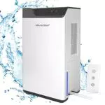 Deumidificatore Casa con Telecomando e Serbatoio dell'Acqua 2L