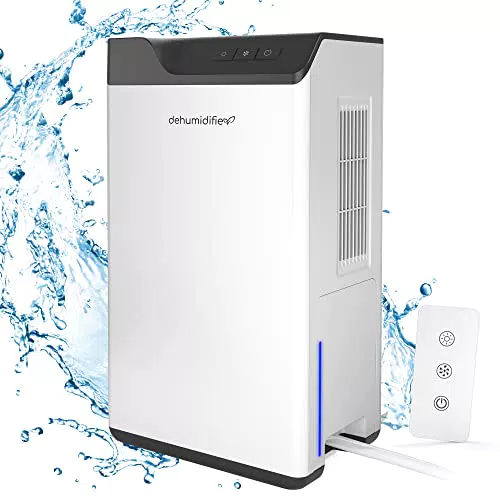 Deumidificatore Casa con Telecomando e Serbatoio dell'Acqua 2L