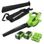Greenworks Aspiratore Soffiatore a Batteria 2 in 1 GD40BVK2X