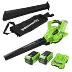 Aspiratore Soffiatore a Batteria Greenworks GD40BVK2X Brushless 40V con Sacco da 45L