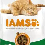 IAMS Cibo secco con agnello per gatti - Formula premium
