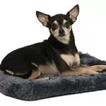 MidWest Homes for Pets Letto Imbottito per Cani e Gatti - Modello 40218