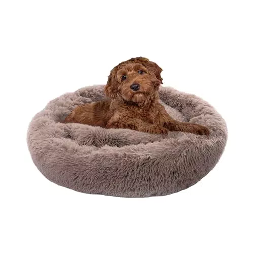 Paco Home Letto Per Animali Domestici Soffice con Cuscino Ciambella e Coperta, Lavabile - Beige, Ø80 cm