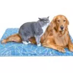 Tappetino Refrigerante Pecute per Cani e Gatti in Gel Auto-raffreddante