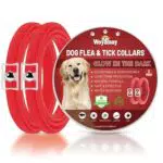 Collare Antiparassitario Luminoso per Cani Woyamay, Regolabile e Impermeabile - Protezione Antipulci e Antizecche per Cani