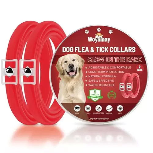 Collare Antiparassitario Luminoso per Cani Woyamay, Regolabile e Impermeabile - Protezione Antipulci e Antizecche per Cani