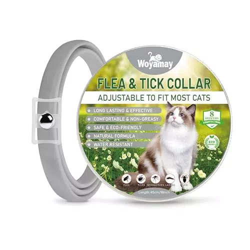 Collare Antiparassitario per Gatti Woyamay: Protezione Naturale Antipulci Regolabile e Resistente all'Acqua