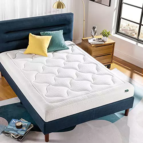 ZINUS Cloud Materasso in Memory Foam 160x190 cm Altezza 20 cm - Arrotolabile - Certificato OEKO-TEX