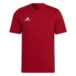 adidas Entrada 22 T-Shirt, T-Shirt Uomo, White