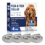 Collare Antiparassitario per Cani Regolabile e Impermeabile - Protezione Efficace per 8 Mesi